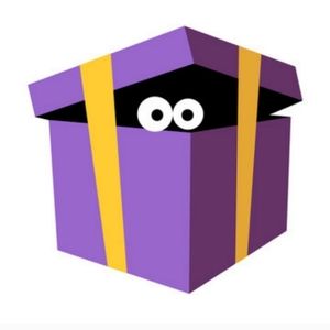 Plus size mystery box